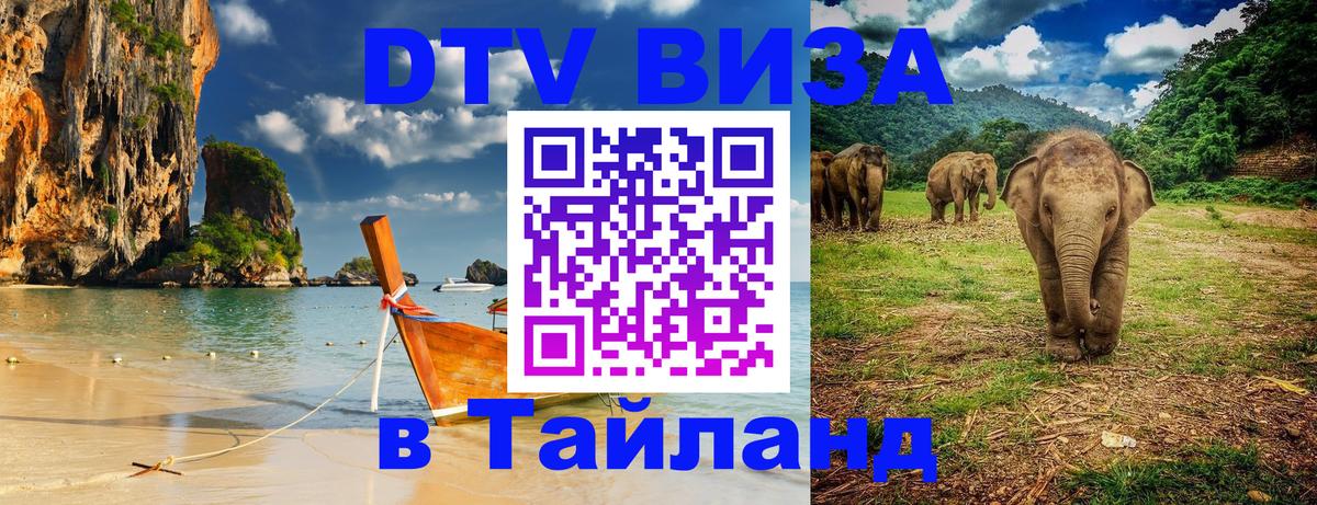 Цены на DTV визу в Таиланд — пакеты услуг, достаточно даже паспорта - Белгород  20.11.2025 